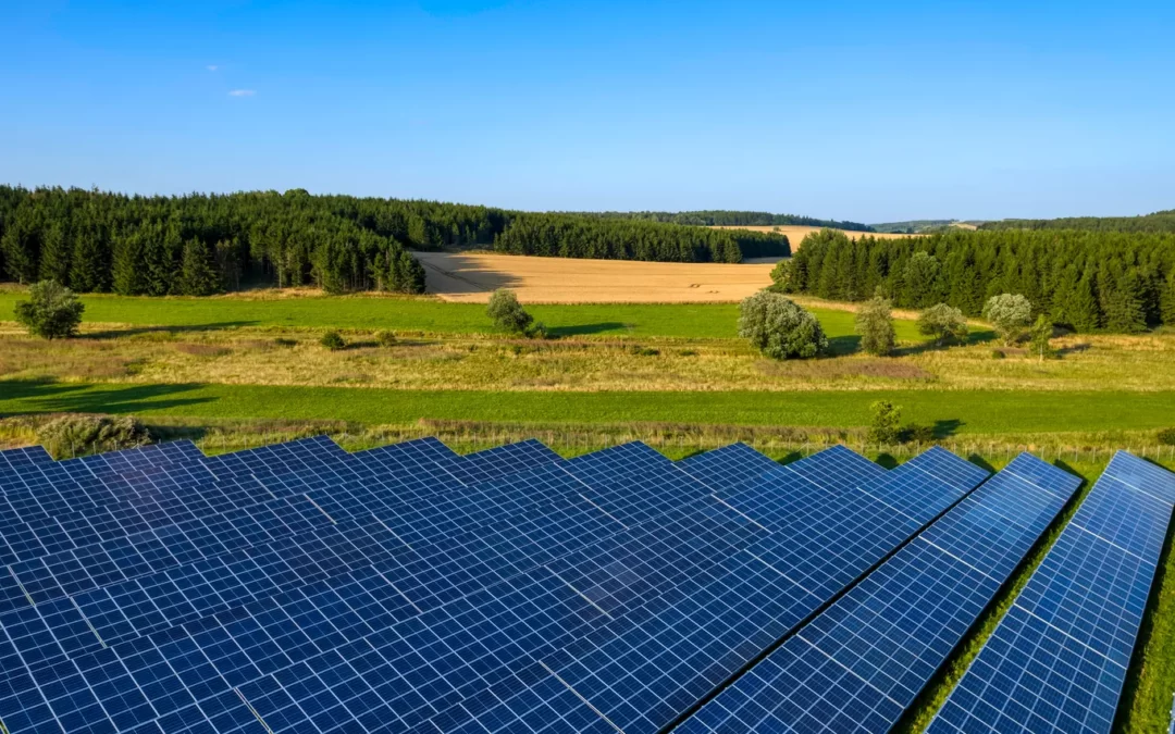 Energia solar e a redução de custos para o agronegócio